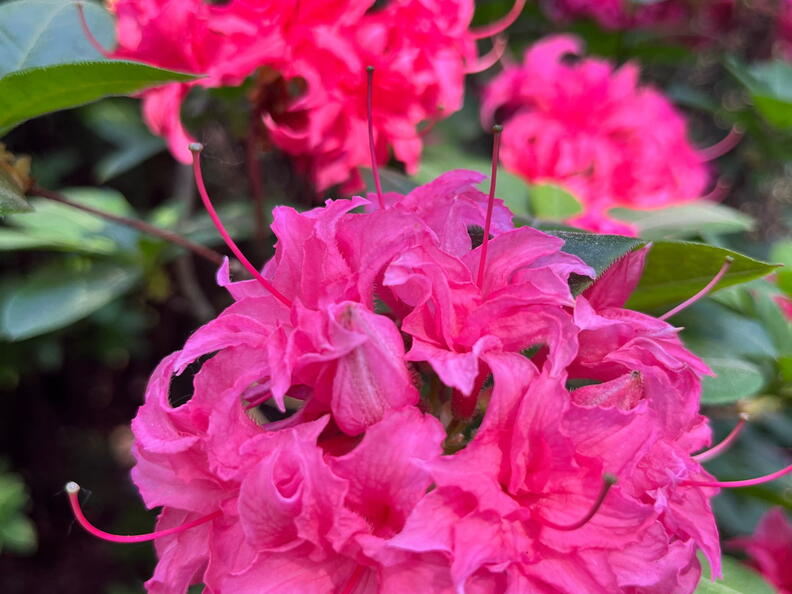 23-06-03 17-10-28 5818